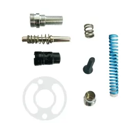 Kit reparatie DV1-704431