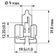 Bec Incandescent, Proiector Ceata, Far Faza Lunga, Far Principal, Bec