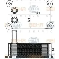 Radiator Ulei, Ulei Motor