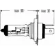 Bec Incandescent, Proiector Ceata, Far Faza Lunga, Far Principal, Bec