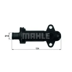 Racire Recirculare Gaze Evacuare, Termostat