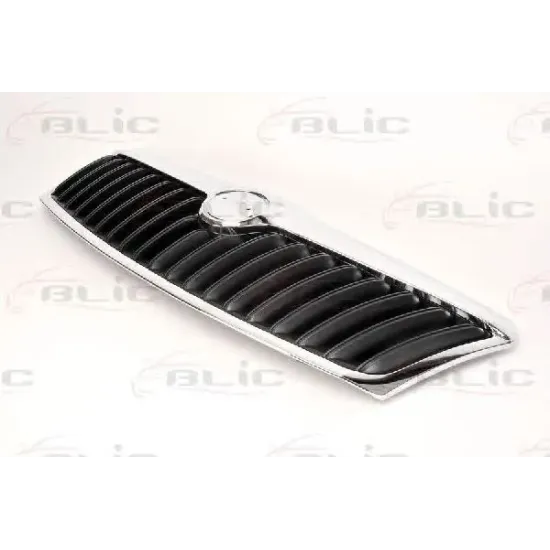 Grila Radiator