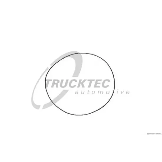 Camasa Cilindru, O-Ring TRUCKTEC AUTOMOTIVE 01.67.084