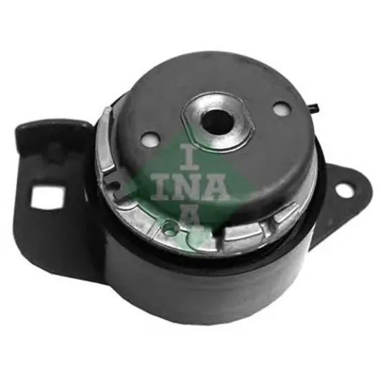 Curea Distributie, Rola Intinzator INA 531 0320 30