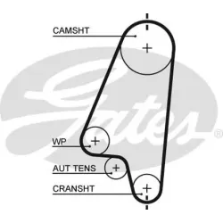 Curea de Distributie