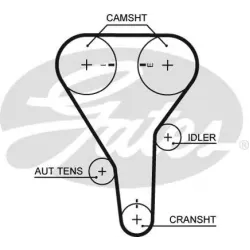 Curea de Distributie