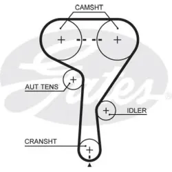 Curea de Distributie