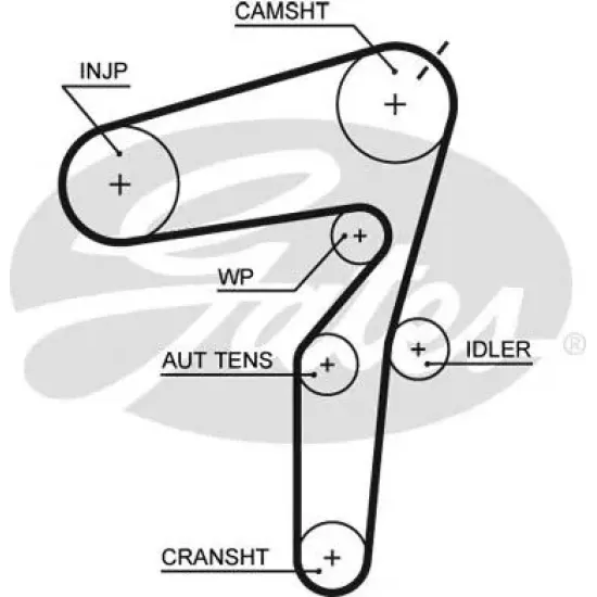 Curea de Distributie GATES 5623XS