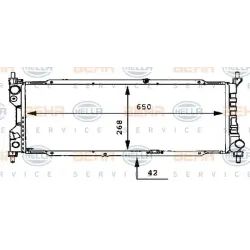 Racire Motor, Radiator