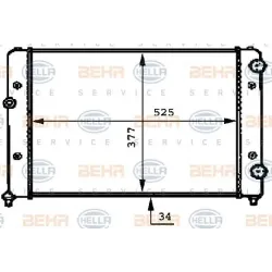 Racire Motor, Radiator