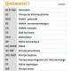 Curea de Distributie CONTITECH CT981